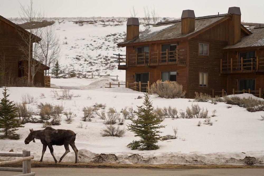 Spring Creek Ranch Hotel Джаксън Екстериор снимка