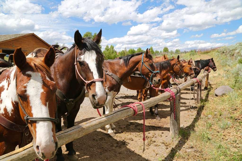 Spring Creek Ranch Hotel Джаксън Екстериор снимка